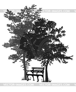 Bench and trees  - vector image