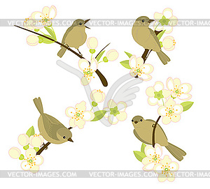 Birds on flowering branches - vector clip art