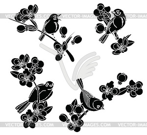 Birds on flowering branches  - royalty-free vector clipart