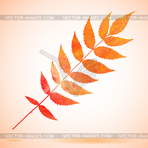 Orange watercolor painted leaf - vector image