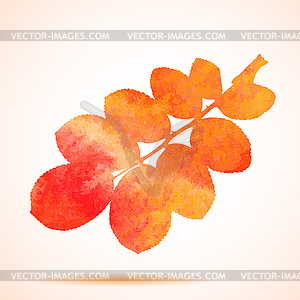 Orange watercolor dog-rose leaf - vector clip art