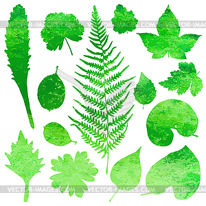 Set of garden watercolor leaves.  - vector clip art