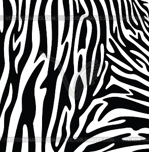 Abstract skin texture of zebra print pattern - vector clipart