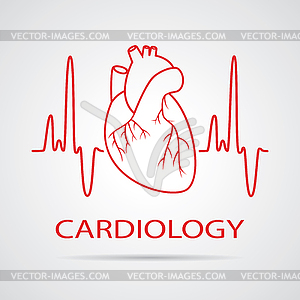 Человеческое сердце медицинский символ кардиологии - векторная иллюстрация