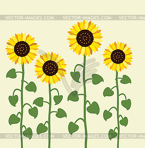 Sunflower summer background - vector clip art