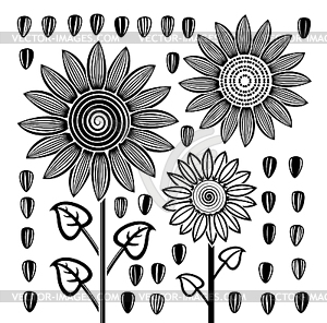 Черно-белые подсолнечника и семена - векторное изображение