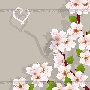 Floral background with cherry flowers - vector clip art