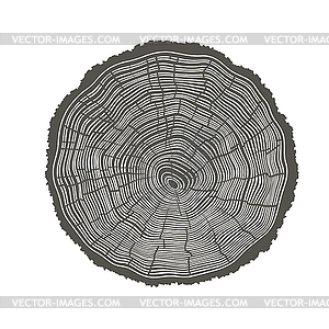 Tree Rings . Template for annual reports - vector clipart