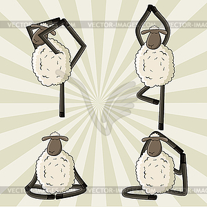 Yoga sheep standing in different poses - vector clipart