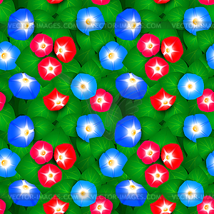 Seamless pattern with ipomoea flowers - vector image