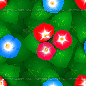 Seamless pattern with ipomoea flowers - vector clip art