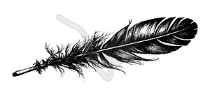 Птичье перо в стиле рисования тушью. птичье оперение - изображение в формате EPS