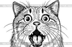 Surprised cat with bie eyes and open mouth, black - vector clipart