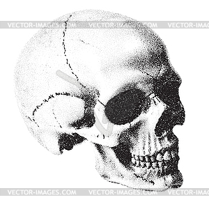 Человеческий череп в точечном исполнении или в стиле татуировки. Мистический - иллюстрация в векторе
