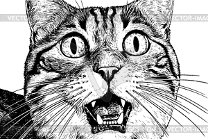 Surprised cat with bie eyes and open mouth, black - vector image