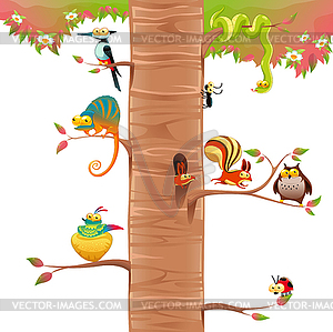 Funny animals on branches with white background - vector image