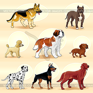 Groups of dog - vector image