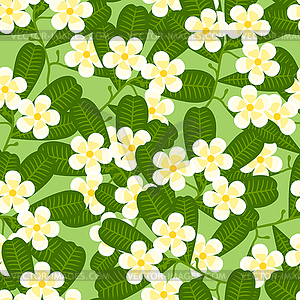 Seamless tropical pattern with stylized plumeria - vector clipart