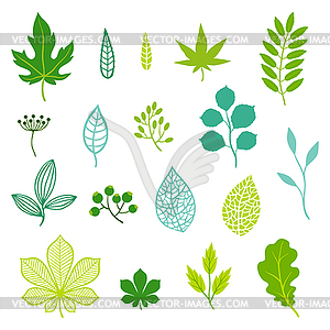 Set of green leaves and elements - vector clipart / vector image