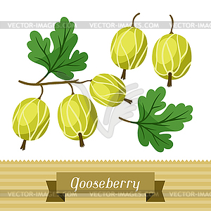 Set of various stylized gooseberries - vector image