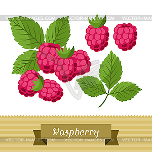 Set of various stylized raspberries - vector clip art