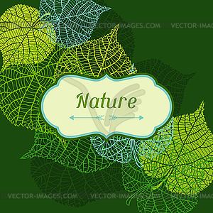 Background of stylized green leaves - color vector clipart