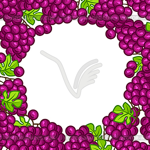 Фон дизайн со стилизованными свежих спелых винограда - векторная иллюстрация