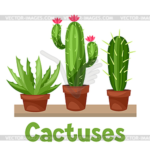 Collection of abstract cactuses in flower pot on - vector clipart