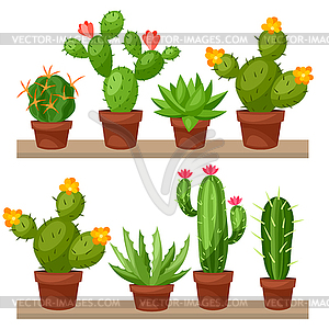 Collection of abstract cactuses in flower pot on - vector image