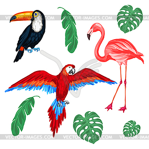 Set of tropical birds and palm leaves - vector clipart