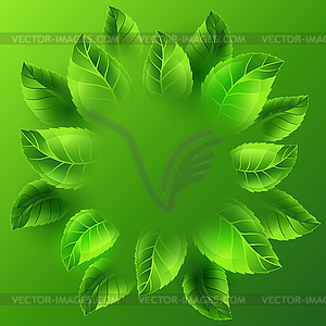 Spring with green leaves. Card template or ecology - vector image