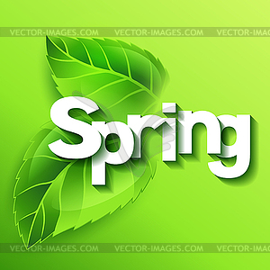 Spring with green leaves. Card template or ecology - vector image
