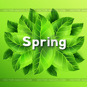 Spring with bunch of green leaves. Card template - vector clip art