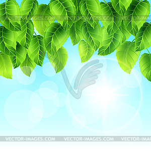 Spring with green leaves on sky. Card template - vector clipart