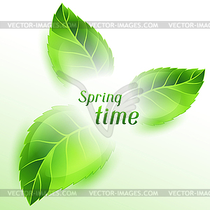 Spring time with green leaves. Card template or - vector clipart