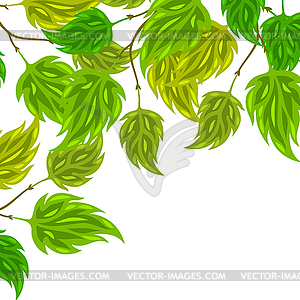 Background of stylized green leaves for greeting - vector clip art