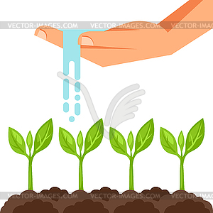 Watering plants of hand. Image for advertising - vector image