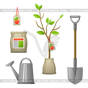 Set of seedling fruit tree,shovel, fertilizers and - vector clipart