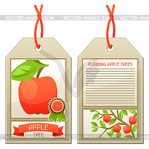 Sale tag of seedlings apple trees. Instructions - vector image