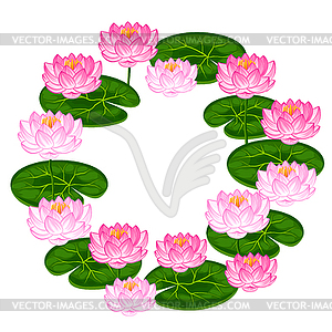 Natural frame with lotus flowers and leaves. Image - vector image