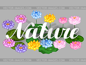 Natural background with lotus flowers and leaves. - vector image