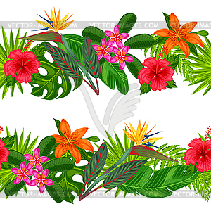 Бесшовные горизонтальные границы с тропическими растениями, - векторизованное изображение