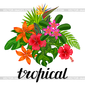 Background with stylized tropical plants, leaves an - vector image