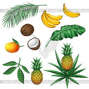 Set of tropical fruits and leaves. Objects for - vector EPS clipart