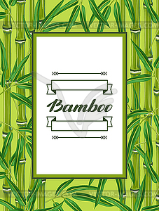 Frame with bamboo plants and leaves. Design for - vector image