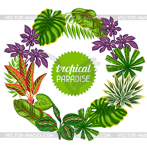 Frame with tropical plants and leaves. Image for - vector clipart