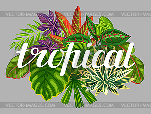 Background with stylized tropical plants and leaves - vector image