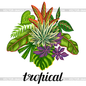 Background with stylized tropical plants and leaves - vector clipart