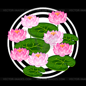 Natural background with lotus flowers and leaves. - vector image