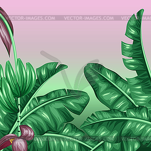 Background with banana leaves. Decorative tropical - vector clipart